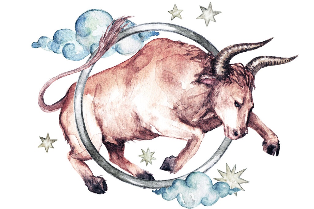 Znak zodiaku Byk